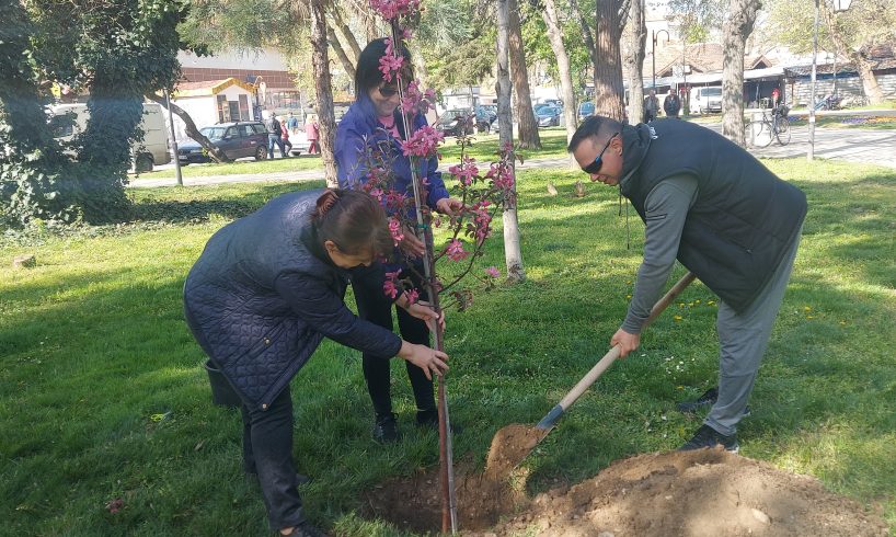 КНСБ в Пазарджик се включи в залесяването на паркове и градини в града