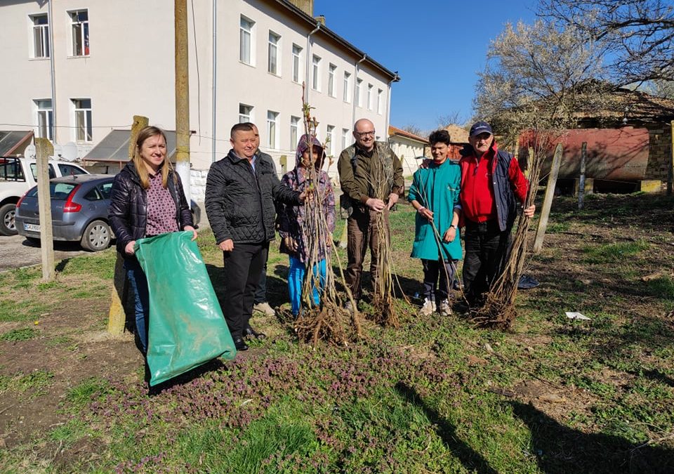 РС Разград засади 40 дръвчета в Дома за възрастни в с. Ловско